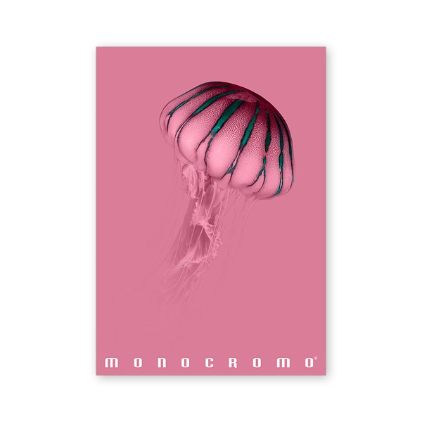 Pigna Monocromo Pink A4 38 lap, tűzött, vonalas füzet Pigna Monocromo Pink A4 38 lap, tűzött, vonalas füzet