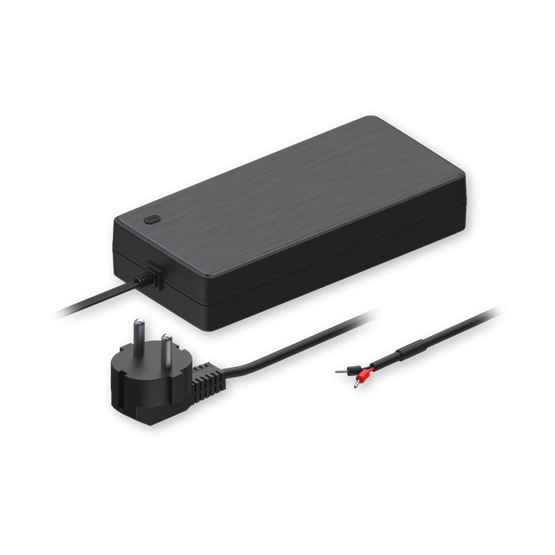 Teltonika  250 W EU 2-pin tápegység