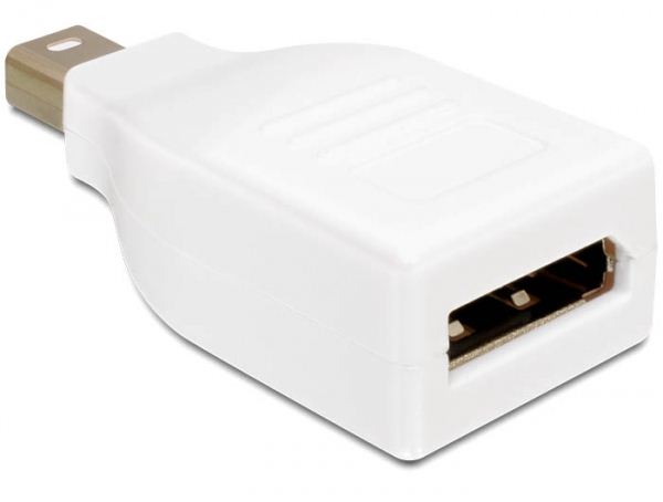 Delock DL65239 Displayport mini male -> Displayport female adapter Delock DL65239 Displayport mini male -> Displayport female adapter