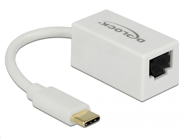 Delock 65906 USB Type-C > Gigabit LAN átalakító, kompakt, fehér
