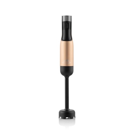 Eta 321990020   1000 W LCD kijelzővel Botmixer szett