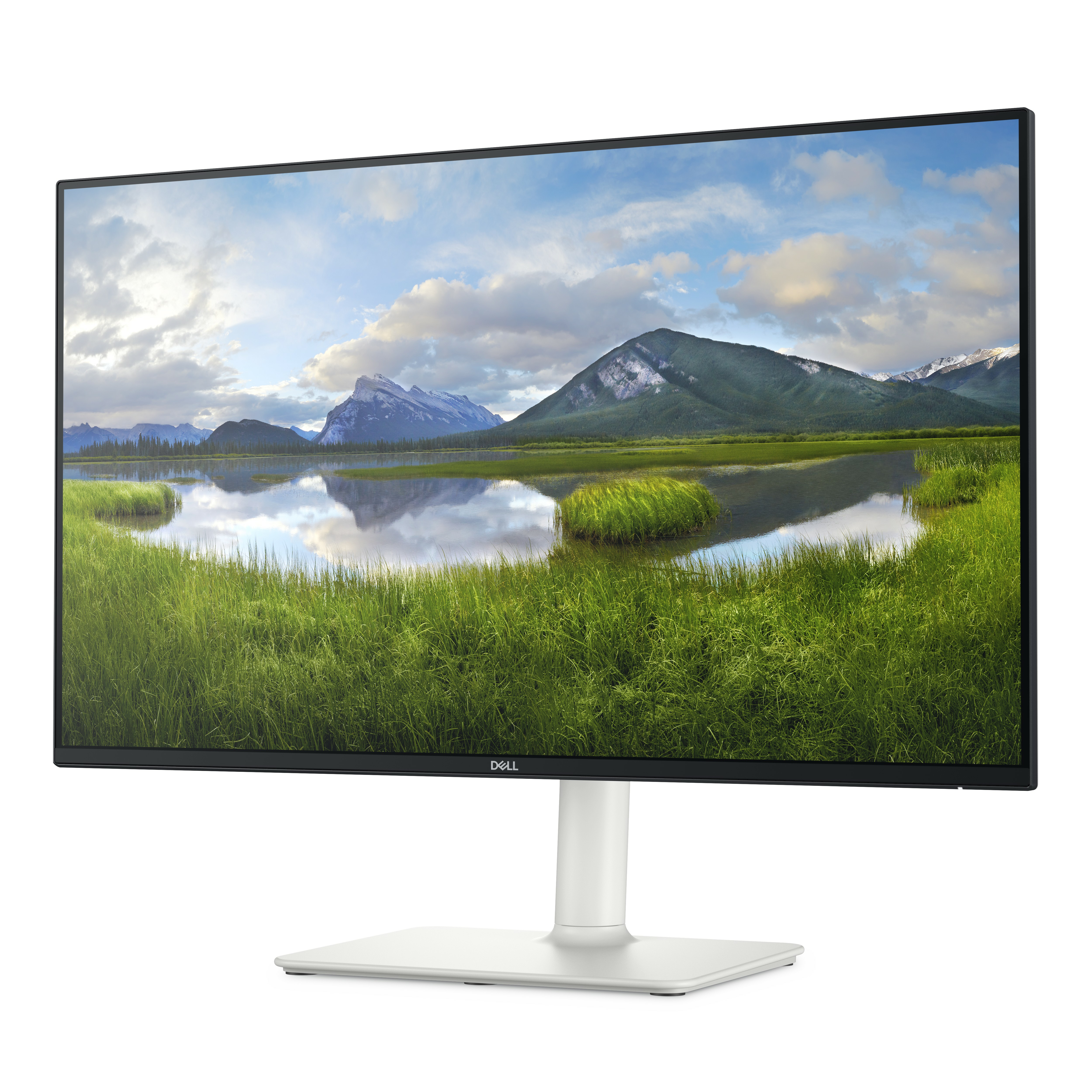 DELL 27" 27 Plus   S2725HS Monitor - 1920x1080, 100Hz, 4ms, Fekete-fehér