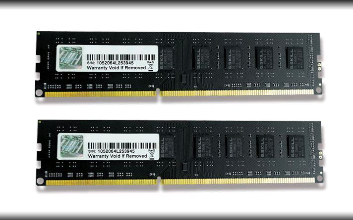 8 GB 1333MHz DDR3 RAM G. Skill (2X4GB) (F3-10600CL9D-8GBNT)
