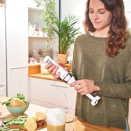 Black and Decker BXHB600E Botmixer