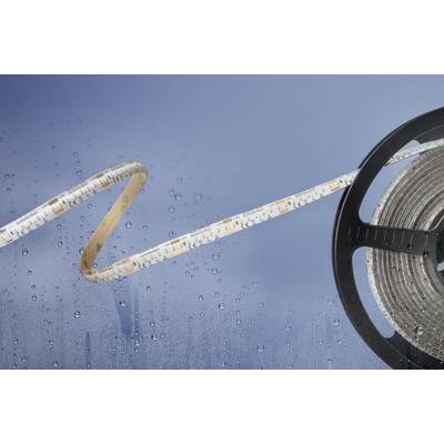 Barthelme Basic 51540133 51540133 LED csík Nyílt kábelvég 24 V/DC 5 m Barthelme Basic 51540133 51540133 LED csík Nyílt kábelvég 24 V/DC 5 m