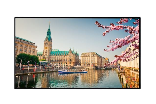 65" Vestel PN65B-4H LFD monitor