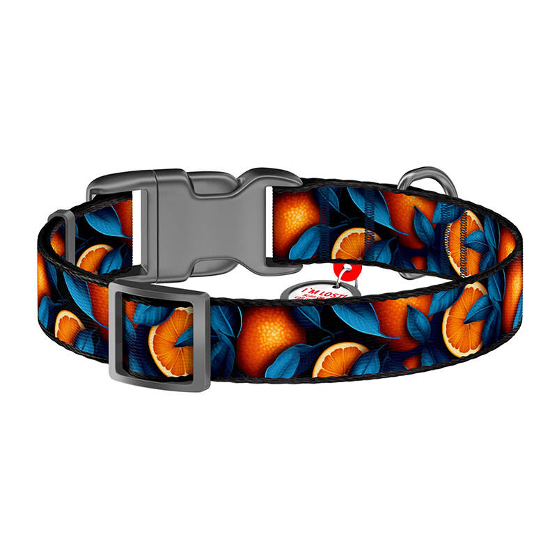 Waudog "Oranges" nylon dog collar with QR code, size XL Waudog "Oranges" nylon dog collar with QR code, size XL