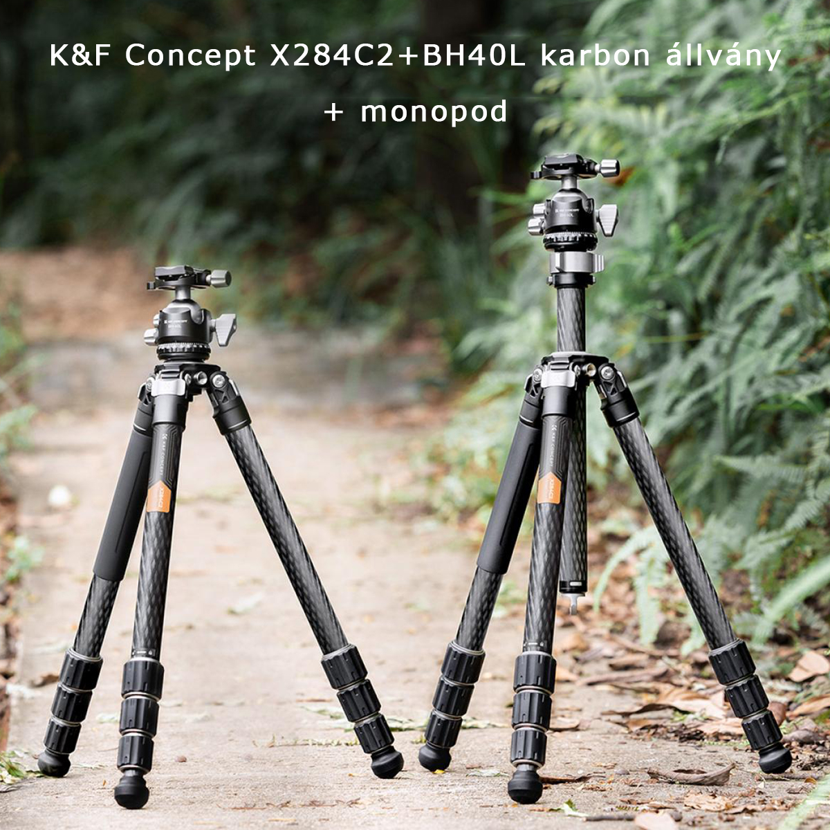K&F Concept X284C2+BH40L karbon állvány + monopod, fekete-narancs
