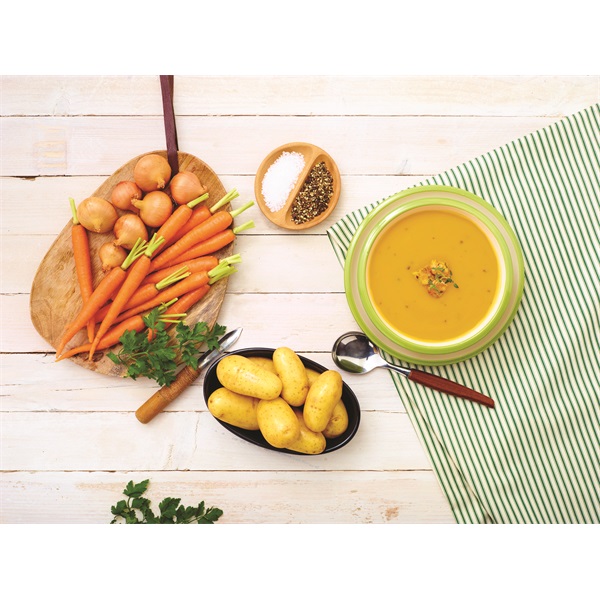 Russell Hobbs 22240-56 Explore botmixer