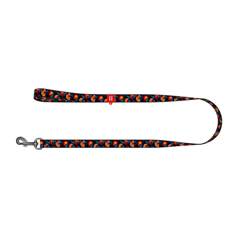 Nylon dog leash, pattern ''Oranges'' length 122 cm Waudog Nylon dog leash, pattern ''Oranges'' length 122 cm Waudog