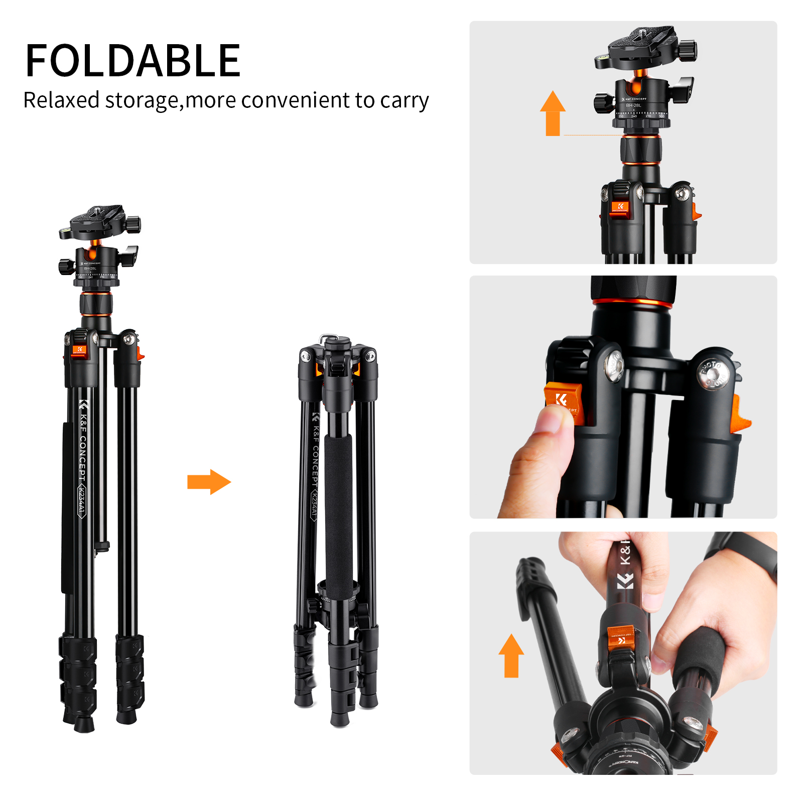 K&F Concept K234A1+BH-28L állvány, 156cm magasság, 10kg teherbírás