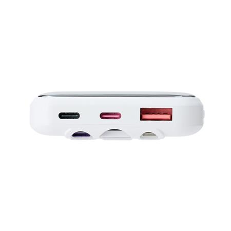 RivaCase Rivapower VA2211 10000mAh PowerBank