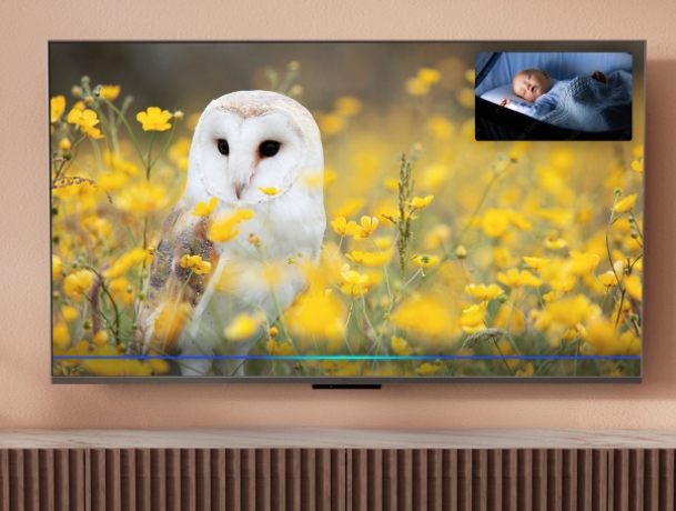 Panasonic TV-43W85BEZ 43" Mini LED, 4K HDR Smart TV