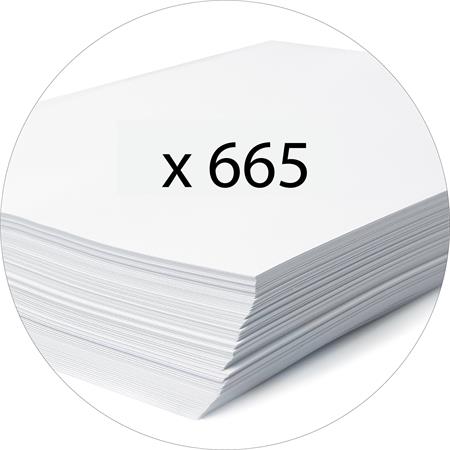 EXACOMPTA 70 mm A4 PVC Iratrendező Világoszöld
