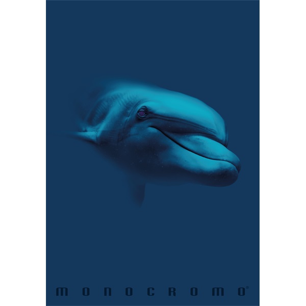 Pigna Monocromo Blue A4 tűzött 38 lapos kockás füzet Pigna Monocromo Blue A4 tűzött 38 lapos kockás füzet
