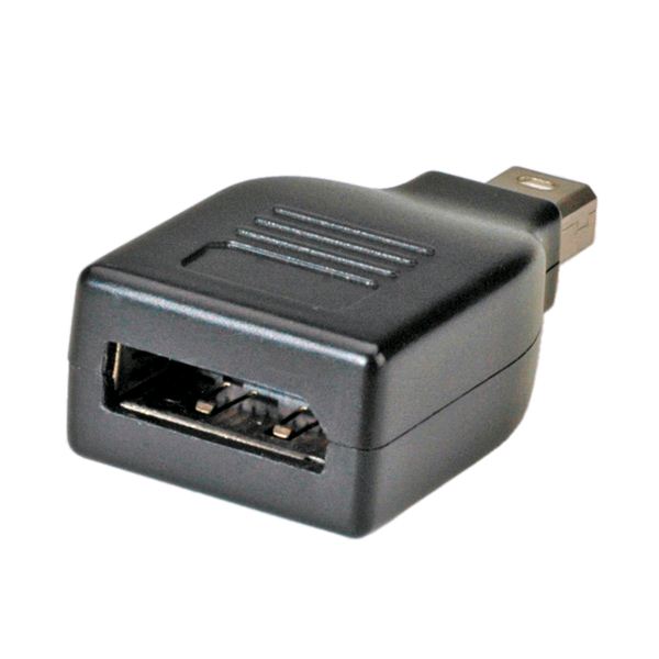 Roline DisplayPort --> mini DisplayPort F/M adapter (12.03.3130-20) Roline DisplayPort --> mini DisplayPort F/M adapter (12.03.3130-20)
