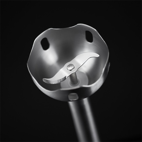 Russell Hobbs 24690-56 Desire botmixer