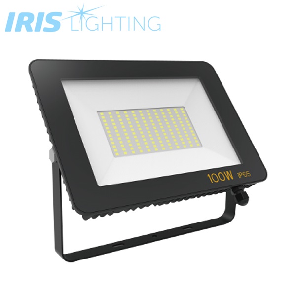 Iris Lighting Z plus 10824684 50W 4000lm mozgásérzékelős LED reflektor (ILZPLUS20W4000KREFMS)