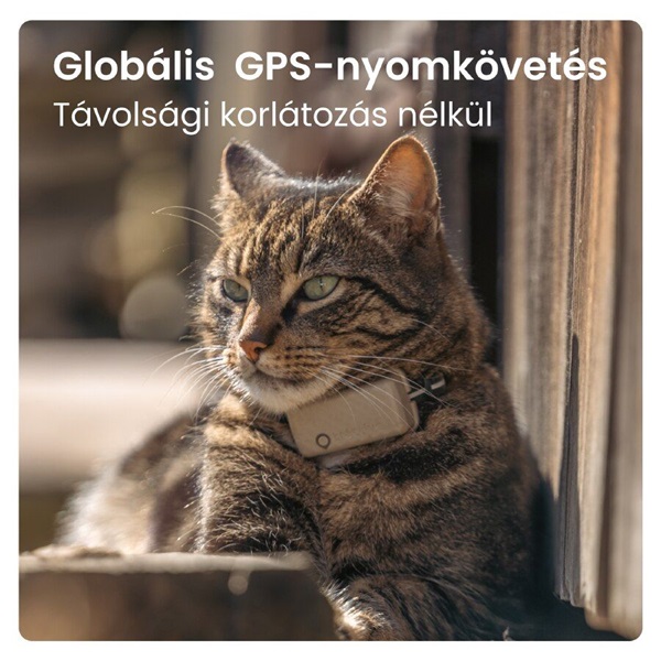 Tractive GPS CAT Mini barna macska GPS nyomkövető és tevékenységfigyelő