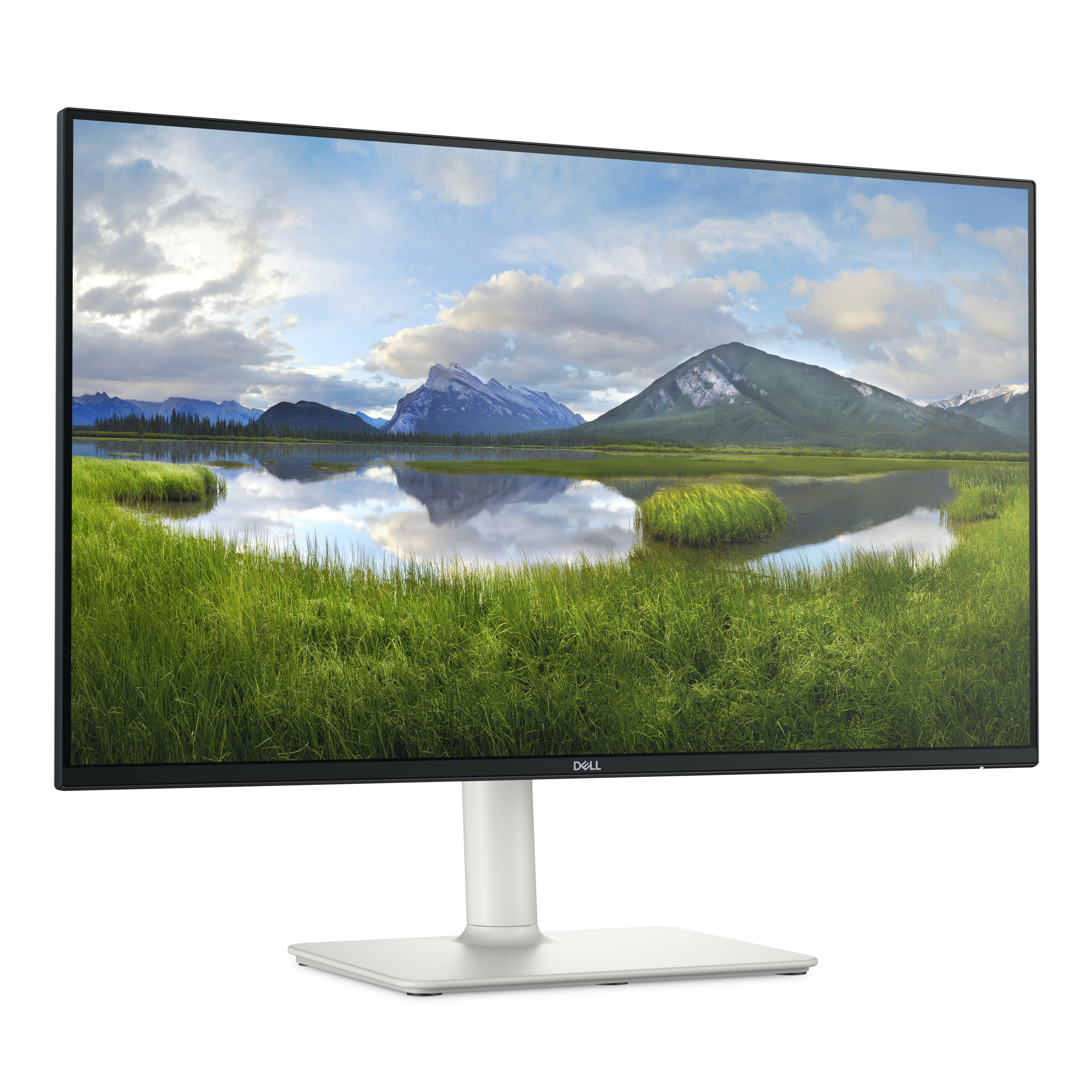 DELL 27" 27 Plus   S2725HS Monitor - 1920x1080, 100Hz, 4ms, Fekete-fehér