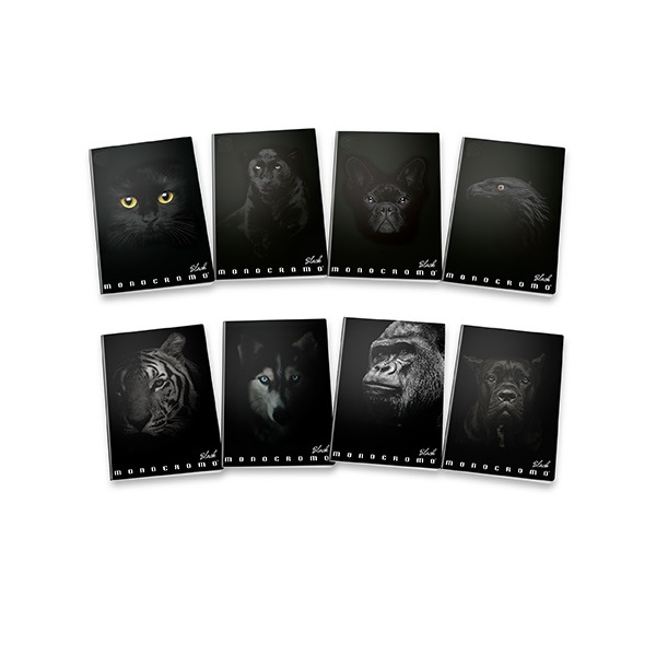 Pigna Monocromo Black A4 38lapos kockás füzet Pigna Monocromo Black A4 38lapos kockás füzet