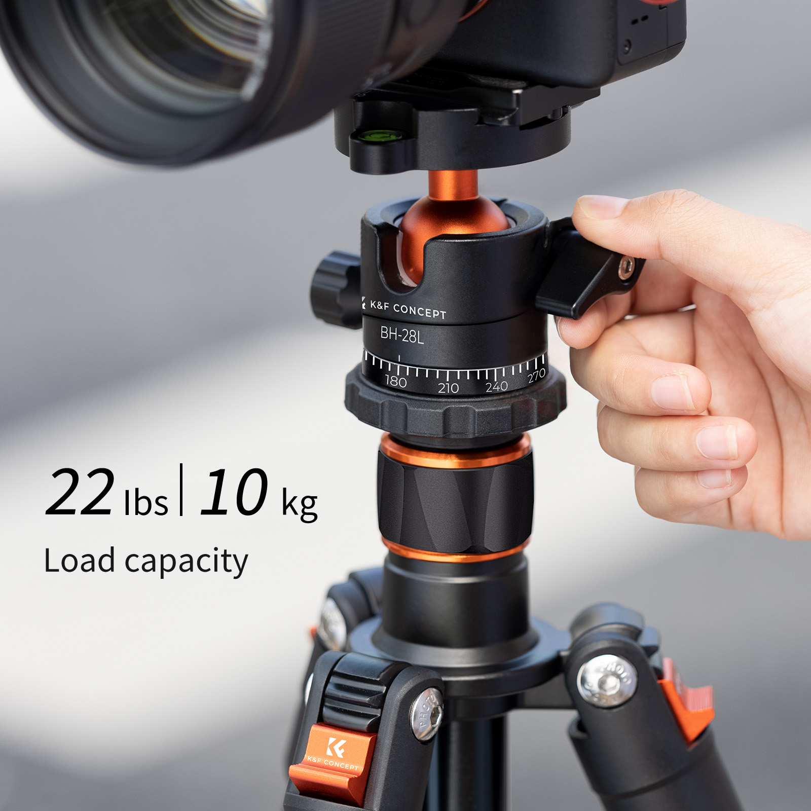 K&F Concept K234A1+BH-28L állvány, 156cm magasság, 10kg teherbírás