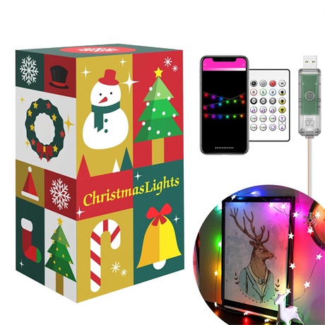 Garden of Eden 58381B SMART FÉNYFÜZÉR, CSILLAG, USB, 20 LED, 2 M, BLUETOOTH