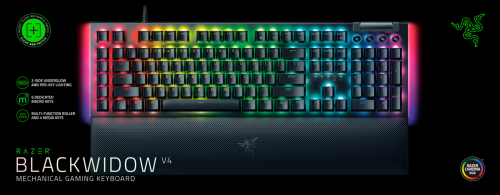 Razer BlackWidow V4 (Green Switch)  US Layout