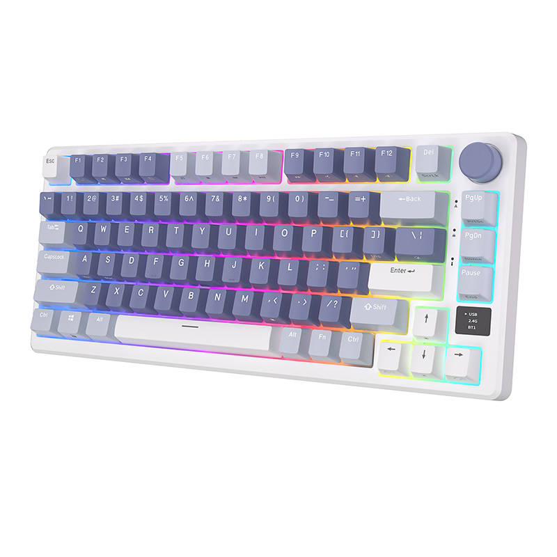 Mechanical keyboard Royal Kludge RKM75 RGB, Silver switch (blue)