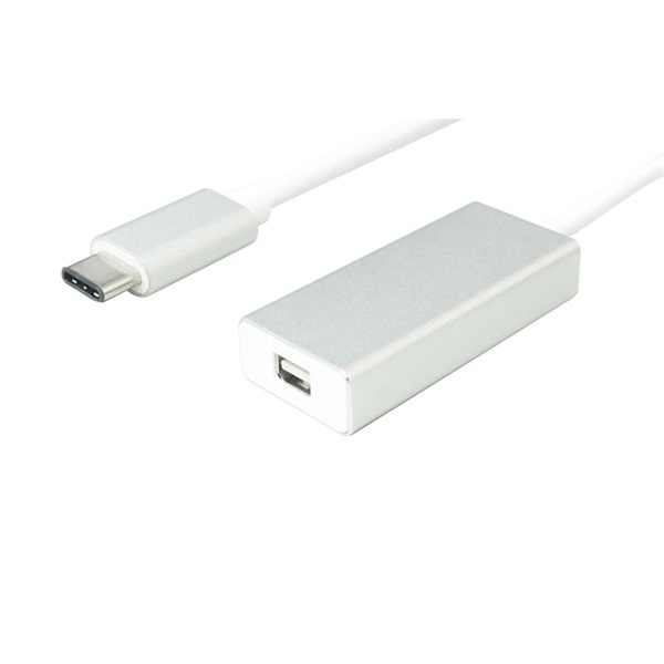 Value Adapter USB 3.2 Gen 2 C - Mini DisplayPort (12.99.3225-10)