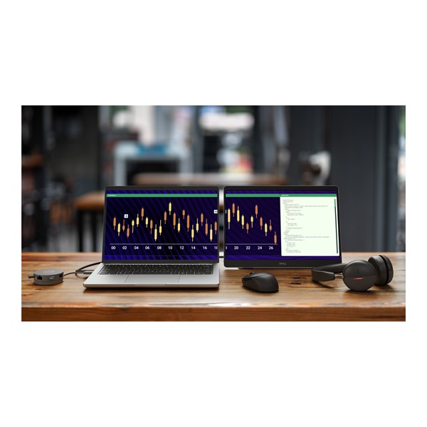 DELL Pro 14 Plus  P1425 14" WUXGA 60Hz  IPS  7ms  Hordozható Monitor