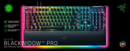 Razer BlackWidow V4 Pro (Green Switch)   US Layout