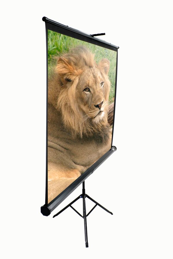 Elite Screen 113" (1:1) /203,2x203,2 cm/ T113UWS1 Hordozható Vászon