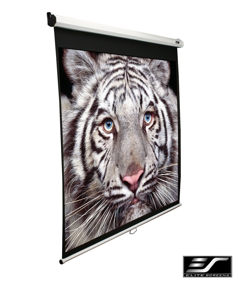 Elite Screen 119" (1:1) M119XWS1 Projektor Vászon Elite Screen 119" (1:1) M119XWS1 Projektor Vászon