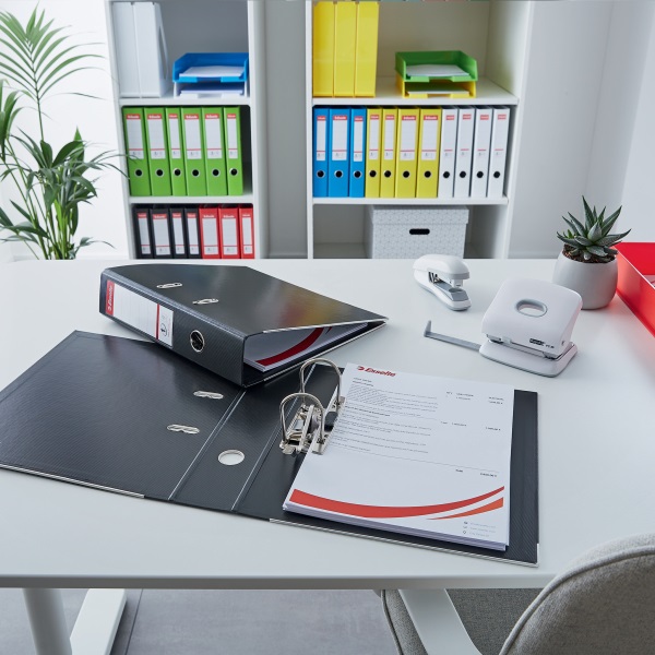 Esselte Standard Vivida A4 5cm piros iratrendező