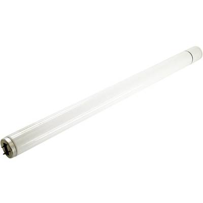 Tartalék UV cső CriCri 305E/307A/307E UV rovarcsapdához, Mo-el 512 Tartalék UV cső CriCri 305E/307A/307E UV rovarcsapdához, Mo-el 512