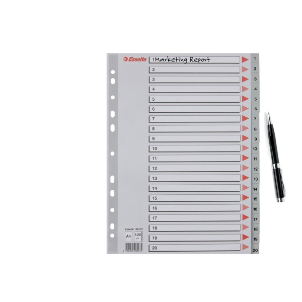 Esselte A4 1-20 műanyag regiszter
