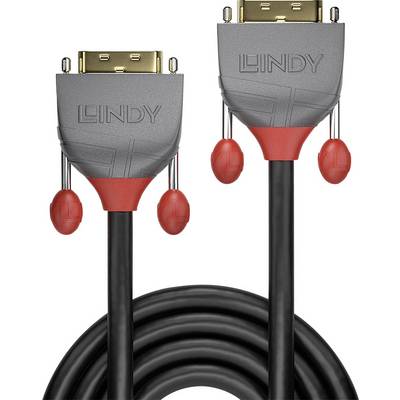 LINDY DVI Csatlakozókábel [1x DVI dugó, 24+1 pólusú - 1x DVI dugó, 24+1 pólusú] 10.00 m Fekete