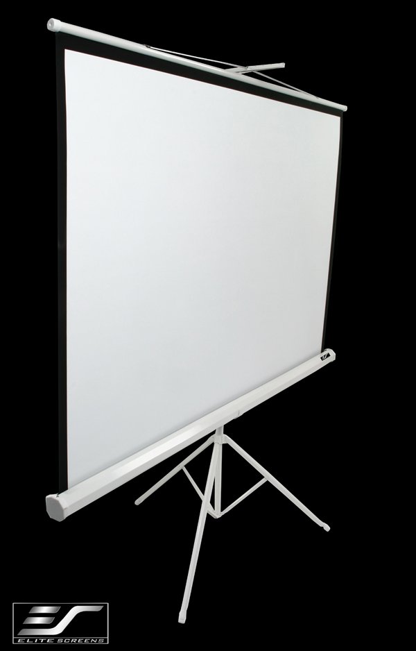 Elite Screen 99" (1:1) /177,8x177,8 cm/ T99NWS1 Hordozható Vászon Fehér