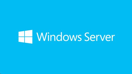 Microsoft Windows Server Standard 2019 64Bit English 1pk DSP OEI DVD 16 Core (P73-07788)