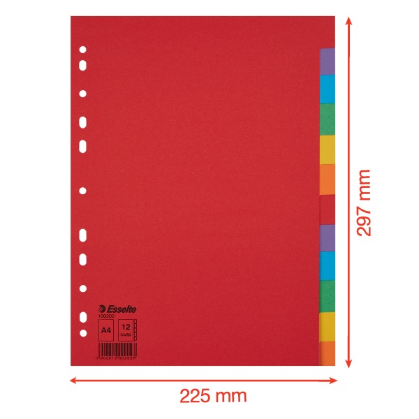 Esselte Economy A4 karton 12 részes elválasztólap