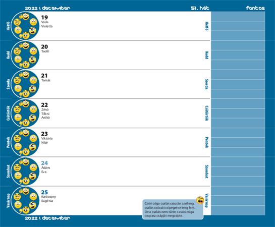 Diák zsebkönyv, heti, 2023/2024 tanév, REALSYSTEM, foci