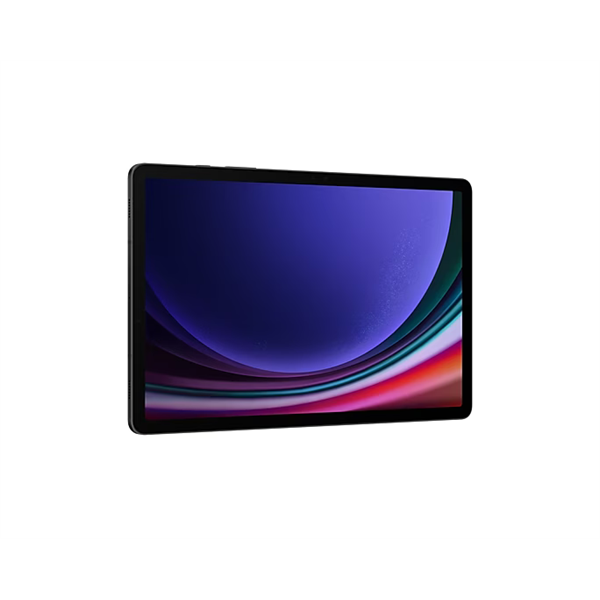 Samsung Galaxy Tab S9 11" 128GB Wi-Fi Gray