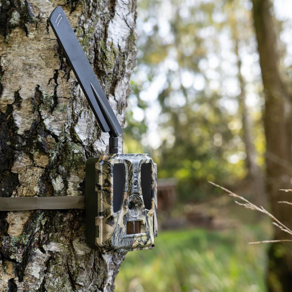 Dörr SnapShot Cloud PRO 4G Megfigyelőkamera Vadkamera WA Dörr SnapShot Cloud PRO 4G Megfigyelőkamera Vadkamera WA