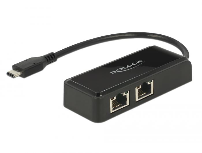 Delock Adapter SuperSpeed USB (USB 3.1 Gen 1) USB Type-C -> 2 x Gigabit LAN 10/100 