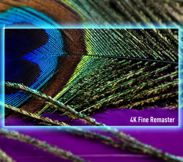 Panasonic TV-43W85BEZ 43" Mini LED, 4K HDR Smart TV