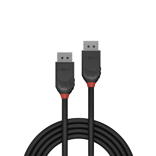 LINDY Kijelző csatlakozó Csatlakozókábel [1x DisplayPort dugó - 1x DisplayPort dugó] 1.00 m Fekete