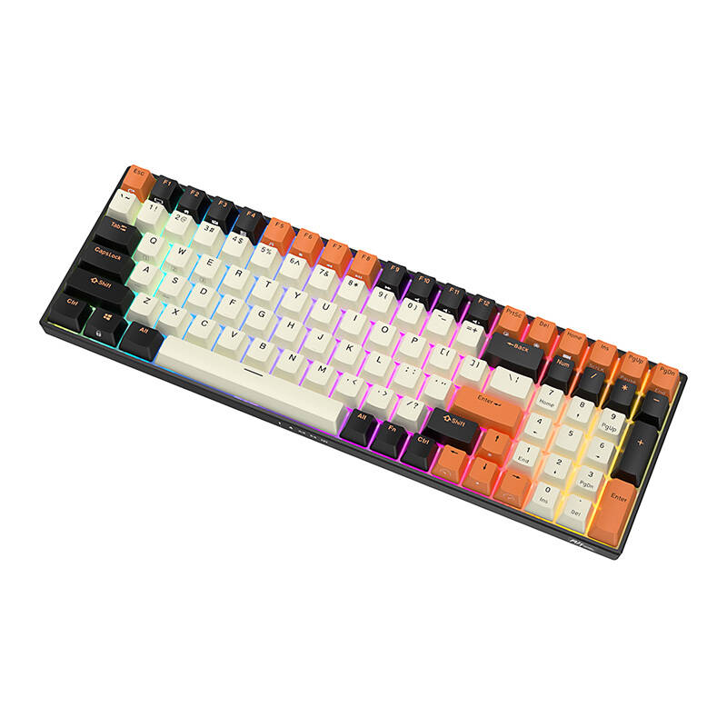 Mechanical keyboard Royal Kludge RK100 RGB, brown switch (black-orange)