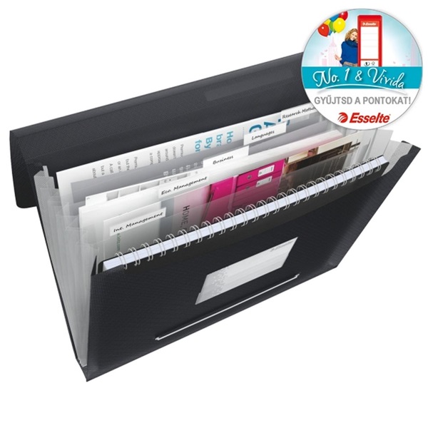 Esselte 624017 "Vivida" harmonikamappa A4 fekete (E624017)