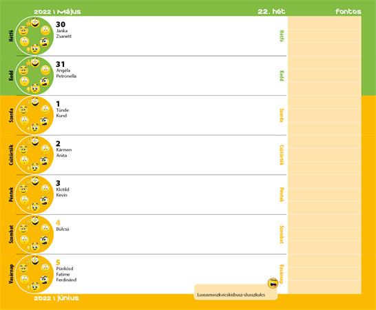 Diák zsebkönyv, heti, 2023/2024 tanév, REALSYSTEM, foci